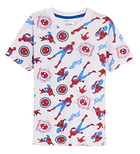 Boys 3 Pack Spiderman T-Shirts 5-6 Years (Pack of 3) Multi