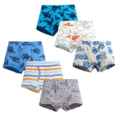 LeQeZe Boys Underwear,Boys Pants Boxers 6 Pack Cotton Underpants 6-7 Years (Boys Dinosaur Mix 6,Manufacturer size 140)