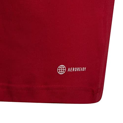 adidas Unisex Entrada 22 T-Shirt (Short Sleeve), Team Power red 2, 13-14 Years