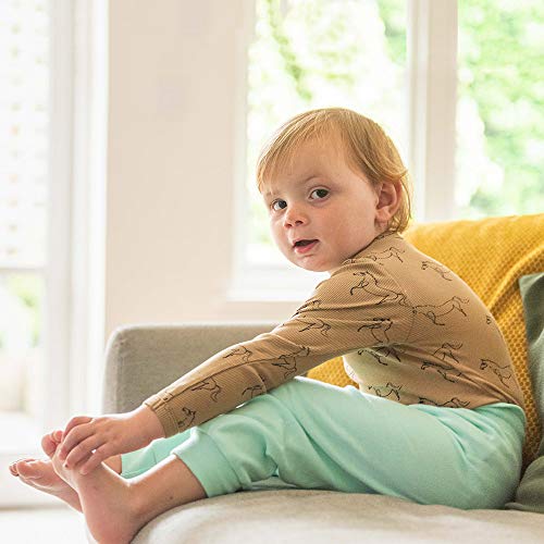 Baby Boy Toddler Jogger Pants / 100% Cotton Soft and Comfortable/Girls (5, 2-3 Years)