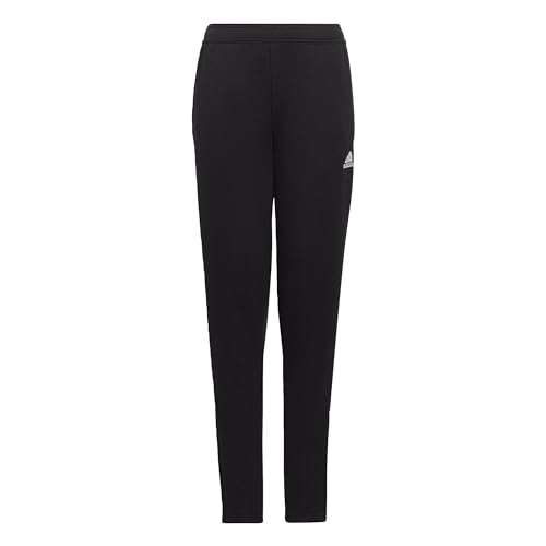 adidas Unisex Entrada 22 Training Tracksuit Pants, black, 15-16 years