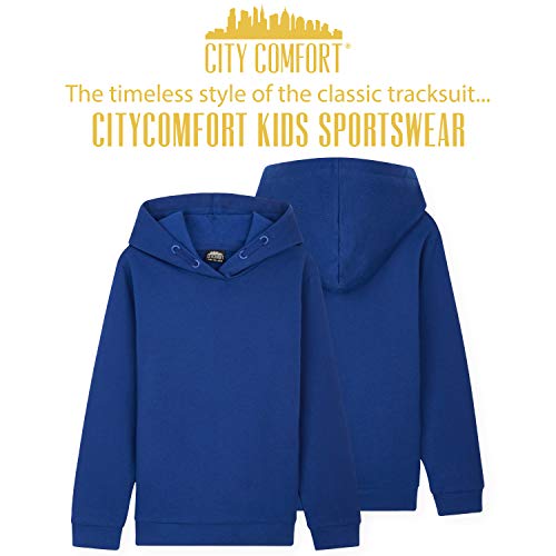 CityComfort Boys Tracksuit, Hoodies And Joggers For Kids 3-14 Years (Blue, 13-14 Years)