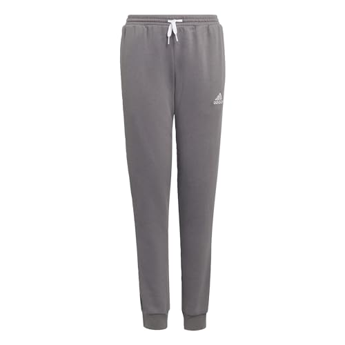 adidas Unisex Kids Ent22 Sw Pnty Pants, Team Grey Four, 13-14 Years UK