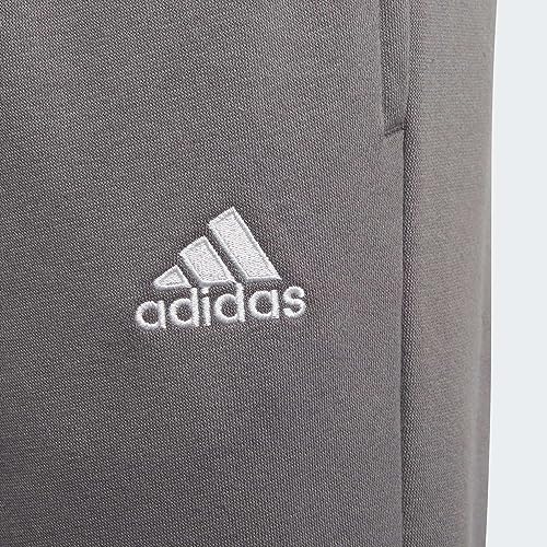 adidas Unisex Kids Ent22 Sw Pnty Pants, Team Grey Four, 13-14 Years UK
