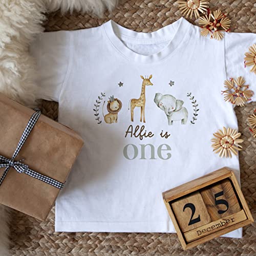 Personalised Safari Kids Birthday T-Shirt Boy Girl Tshirt Top Wild One Woodland Is 1 First Two Second Third Three Four Five Age