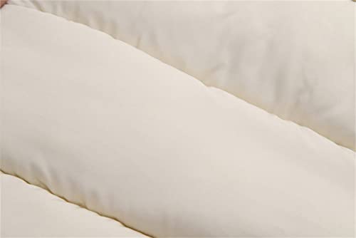 12M-5 Years Kids Clothes Toddler Kids Baby Boys Girls Winter Warm Solid Coats Bear Ears Fleece Hooded Padded Jacket Outwear (Beige, 12-18 Months)