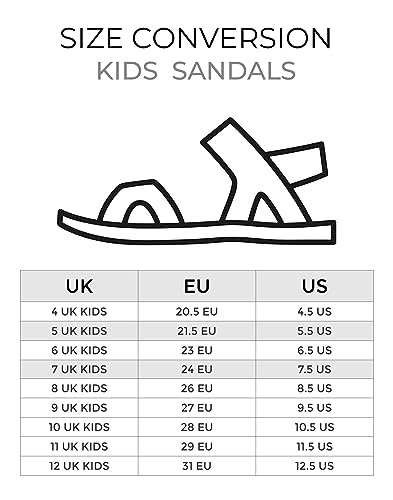 Paw Patrol Boys Sandals | Blue Sliders with Supportive Strap For Kids | Chase The Police Dog Summer Beach Shoes | Fun Rubber Slip-on Pool Footwear Merchandise Gift for Children and Toddlers