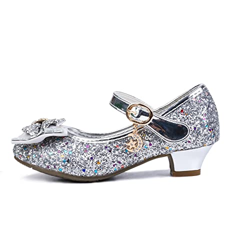 Jiaduowang Girls Dress Shoes Mary Jane Wedding Party Shoes Glitter Bridesmaids Princess Heels Size Size 13.5 Silver