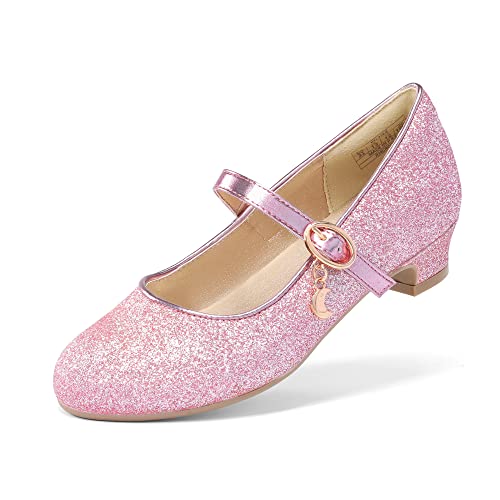 DREAM PAIRS Girls Mary Jane Low Heel Princess Flower Wedding Party Pump Dress Shoes,KFL219-E,Pink,13.5 UK Child/33 (EUR)