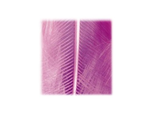 EFCO Marabou 100-120 mm 2 g ~ 20 pcs. bright pink, Feathers, 12 x 5 x 2 cm