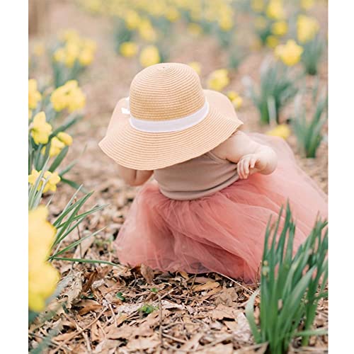 imKutie Baby Girl Tutu Dress Toddler Kids Sleeveless Fluffy Tulle Princess Dresses for 0-6Years Dusty Pink