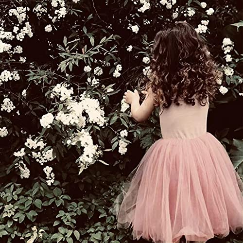 imKutie Baby Girl Tutu Dress Toddler Kids Sleeveless Fluffy Tulle Princess Dresses for 0-6Years Dusty Pink