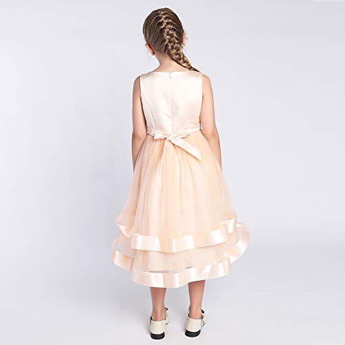 Sunny Fashion Girls Dress Sleeveless Champagne Ball Gown Wedding Party Pageant Age 6 Years