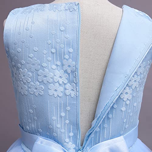 Flower Girls Dress Floral Embroidered Sleeveless Wedding Bridesmaid Birthday Party Dresses Kids Princess Pageant Gown First Communion Evening Long Dress Prom Ball for Girls Sky Blue 11-12 Years