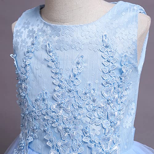 Flower Girls Dress Floral Embroidered Sleeveless Wedding Bridesmaid Birthday Party Dresses Kids Princess Pageant Gown First Communion Evening Long Dress Prom Ball for Girls Sky Blue 11-12 Years