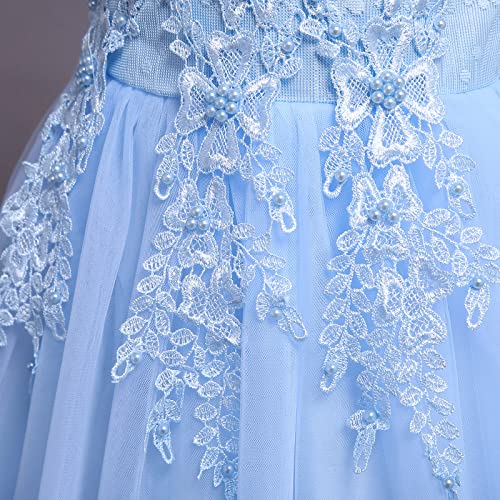 Flower Girls Dress Floral Embroidered Sleeveless Wedding Bridesmaid Birthday Party Dresses Kids Princess Pageant Gown First Communion Evening Long Dress Prom Ball for Girls Sky Blue 11-12 Years