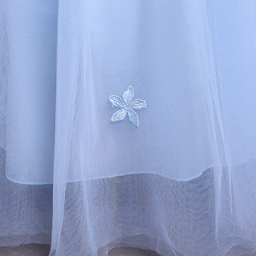 Flower Girls Dress Floral Embroidered Sleeveless Wedding Bridesmaid Birthday Party Dresses Kids Princess Pageant Gown First Communion Evening Long Dress Prom Ball for Girls Sky Blue 11-12 Years