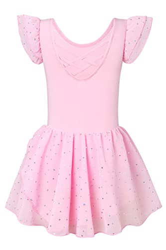 TUONROAD Girls Pink Ballet Dress Gymnastics Athletic Leotards for Kids Short Sleeve Crew Neck Dancewear Ballet Tutu Dresses 4-5 Years,120