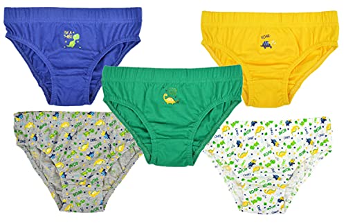 Boys Dinosaur Print Briefs - 2-3 Years, Multicolour