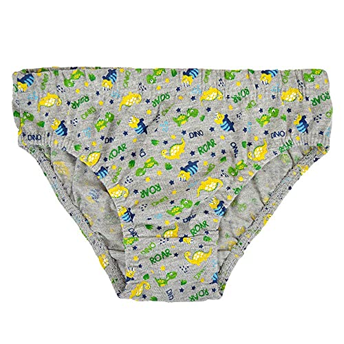 Boys Dinosaur Print Briefs - 2-3 Years, Multicolour