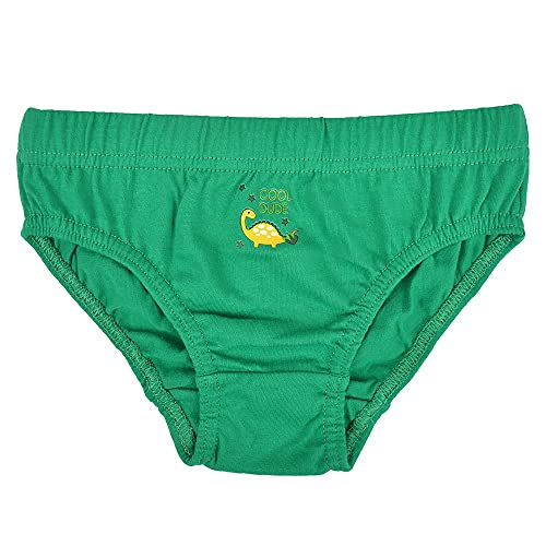 Boys Dinosaur Print Briefs - 2-3 Years, Multicolour
