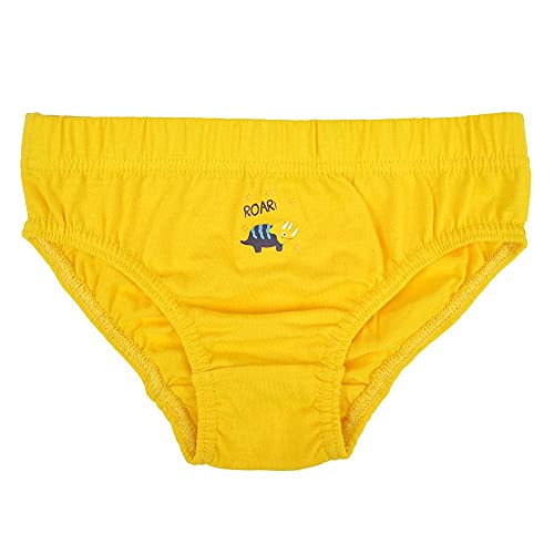 Boys Dinosaur Print Briefs - 2-3 Years, Multicolour