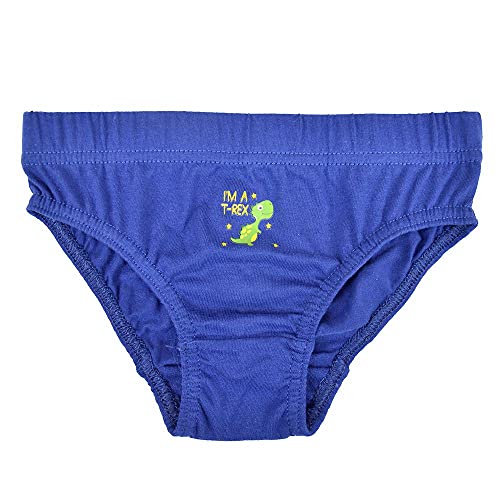 Boys Dinosaur Print Briefs - 2-3 Years, Multicolour