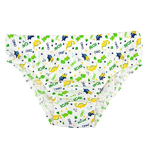 Boys Dinosaur Print Briefs - 2-3 Years, Multicolour