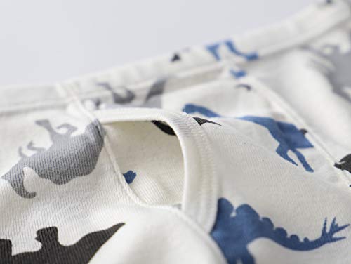 LeQeZe Boys Cotton Underpants - 6 Pack