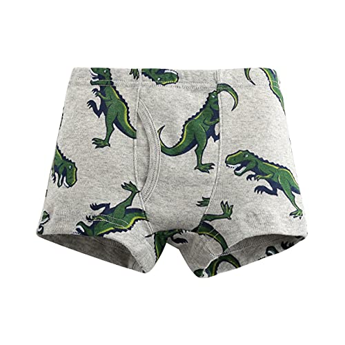 LeQeZe Boys Cotton Underpants - 6 Pack