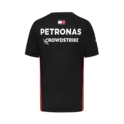 Mercedes AMG F1 Team 2023 Black Men's 3XL T-Shirt