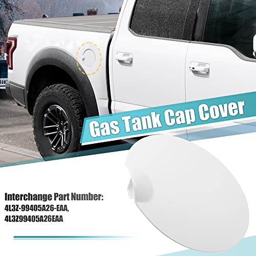Ford F-150 Fuel Gas Tank Door Replacement