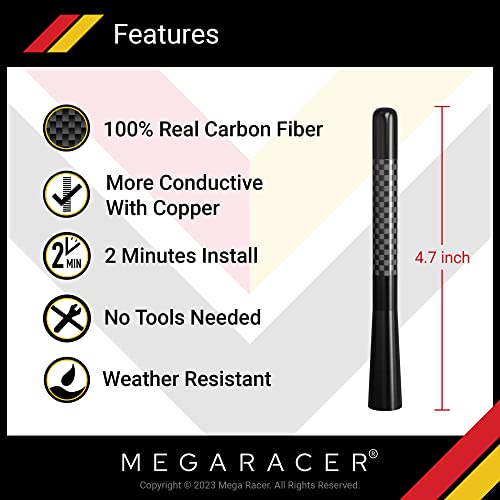 Carbon Fiber Universal Car Antenna: 5” Polished Black