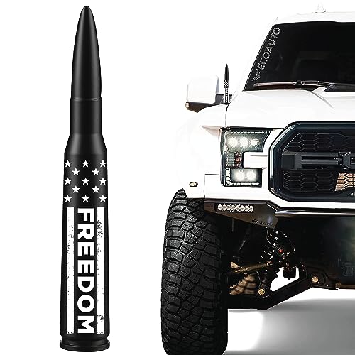 Dodge Ram & Ford Trucks EcoAuto Antenna Topper