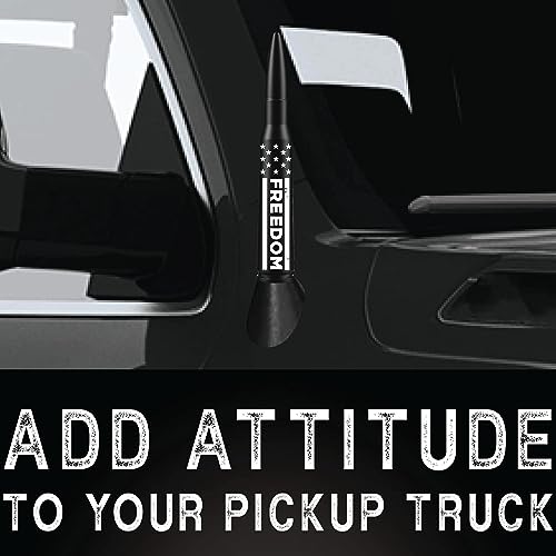 Dodge Ram & Ford Trucks EcoAuto Antenna Topper