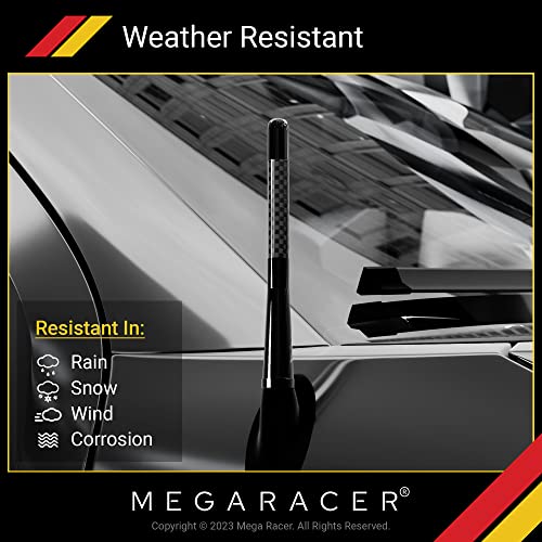 Carbon Fiber Universal Car Antenna: 5” Polished Black