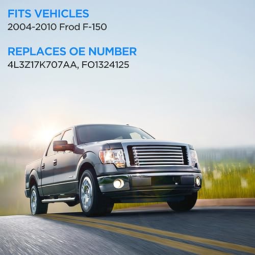 Ford F-150 Driver Left Side Mirror Glass (2004-2010)