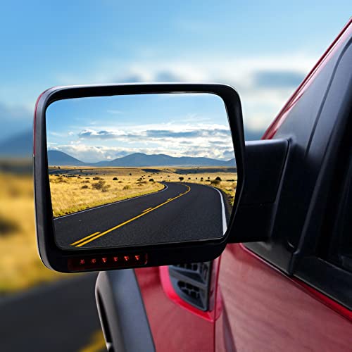 Ford F-150 Driver Left Side Mirror Glass (2004-2010)