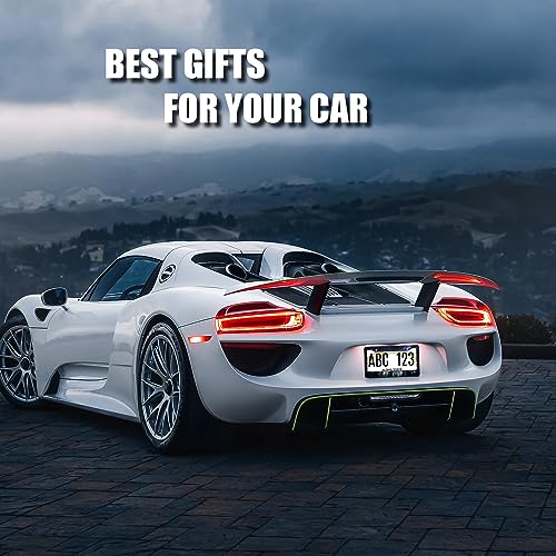 Galaxy Forest License Plate Frame - Stainless Steel