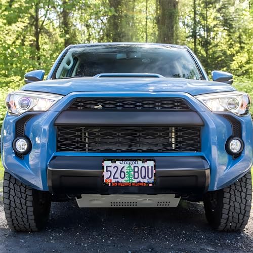 Jellyfish License Plate Frame for Standard US/Canada Plates