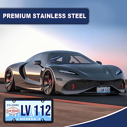 2 Pack Black Stainless Steel License Plate Frames