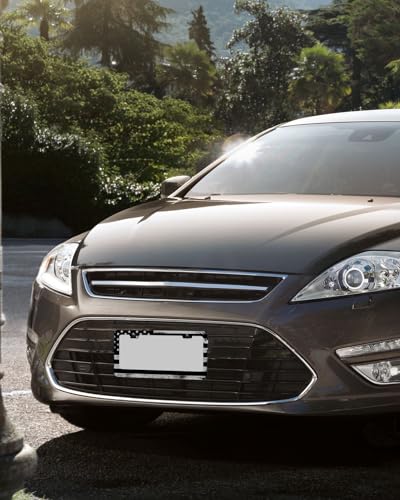 Black American Flag Stainless License Plate Frames