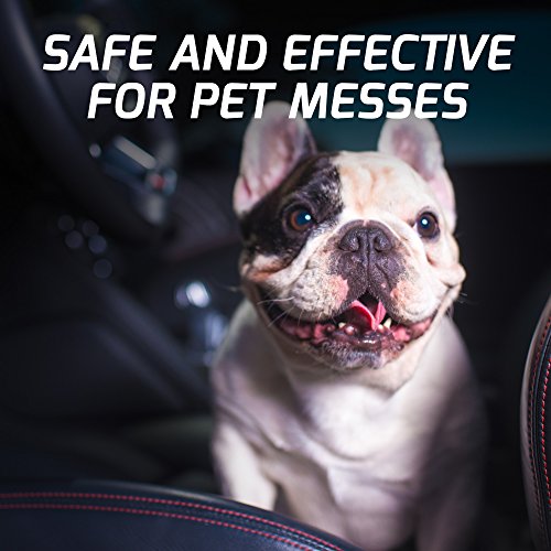 Turtle Wax All-Surface Cleaner with Triple Fresh Fragrance