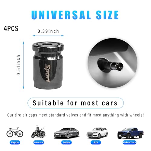 Anti-Theft Stainless Car Tire Valve Stem Caps (Black)