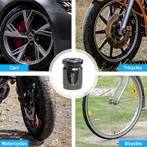 Anti-Theft Stainless Car Tire Valve Stem Caps (Black)