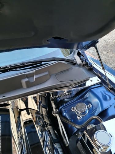 ECOTRIC Wiper Cowl for Dodge Challenger 2008-2019