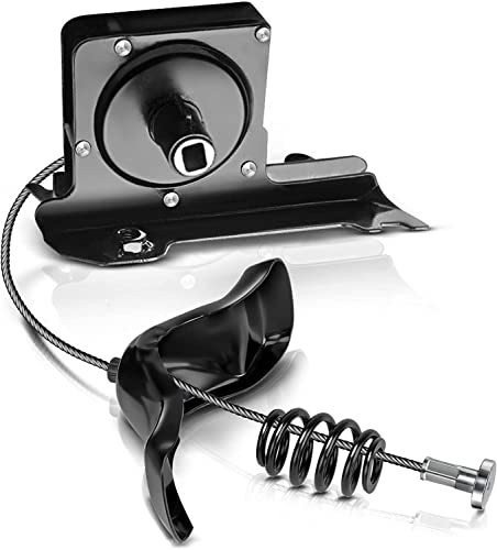 Spare Tire Carrier & Hoist Assembly for Ford F250/F350