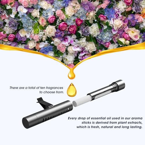 RoyAroma Car Vent Clips Set with 10 Scents