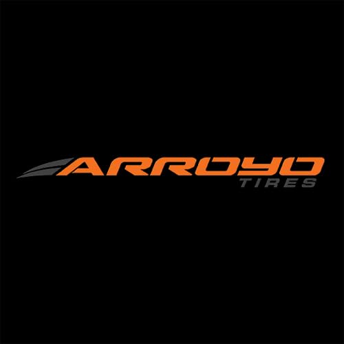 Arroyo GRAND SPORT A-S Tire 215/40R18 89W Performance