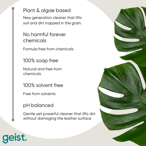 Geist 3 Minus Leather & Vinyl Care Kit